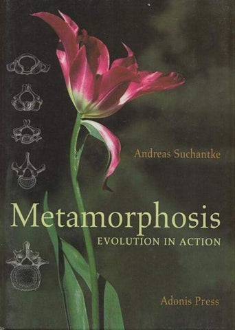 Metamorphosis: Evolution in Action