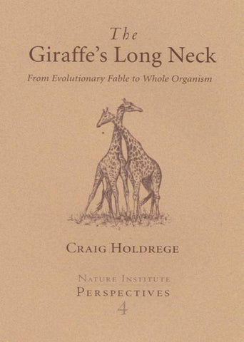 The Giraffe's Long Neck