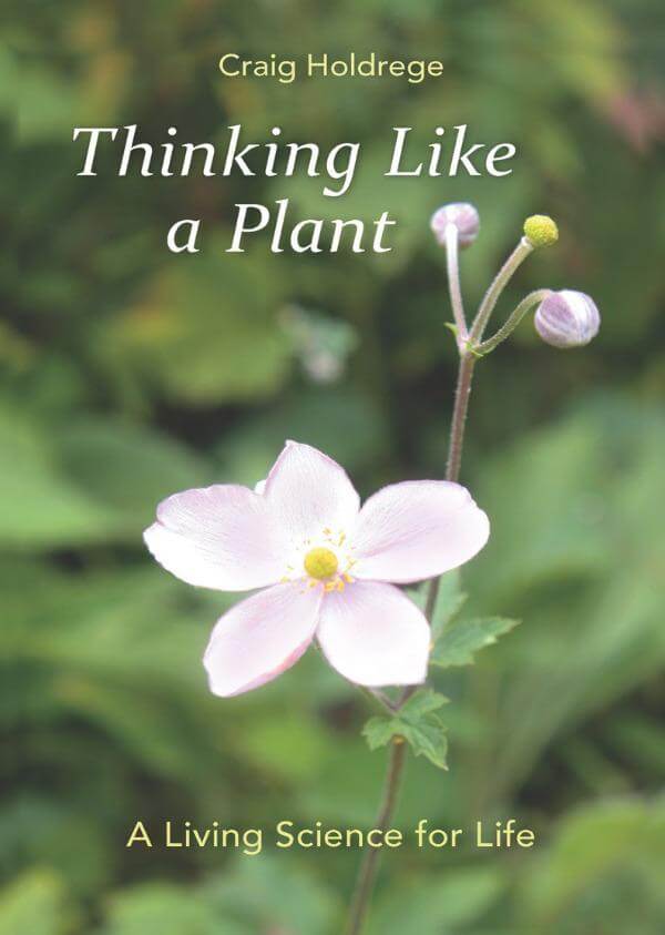 Thinking Like a Plant | Waldorf Publications