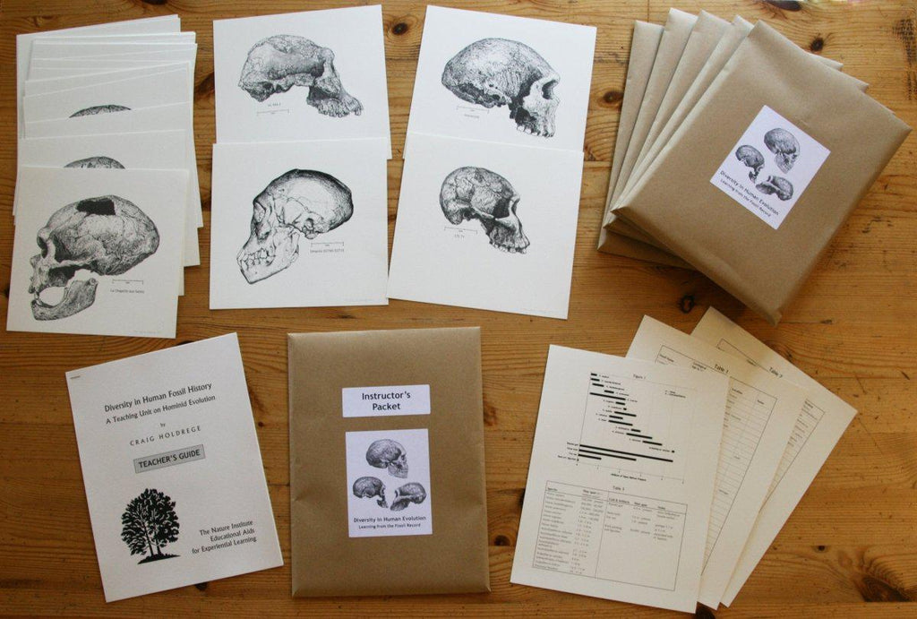 Waldorf Science Kit #19 - Diversity in Human Fossil History | Waldorf Publications