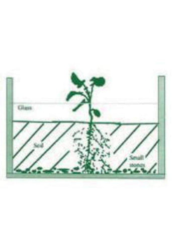 Waldorf Science Kit #7  Botany - Root and Plant Observation Kit, Grades 5 - 11
