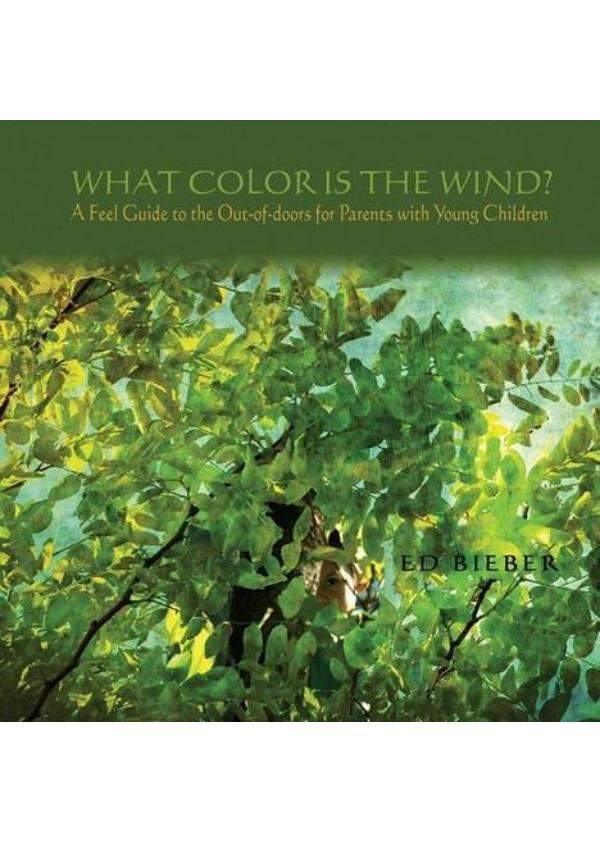 What Color is the Wind? | Waldorf Publications