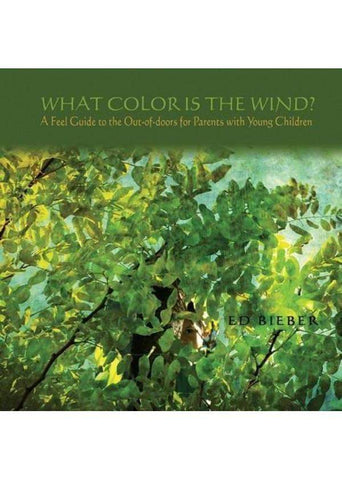 What Color is the Wind?